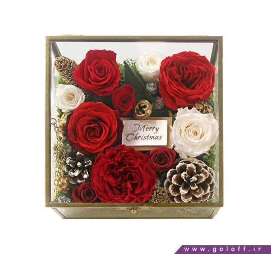 گل رز در جعبه - جعبه گل روبین - Ruben | گل آف